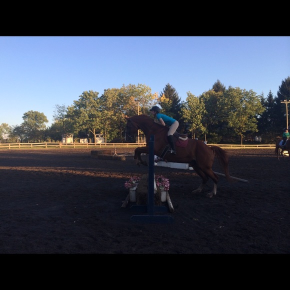 Meet your Posher, Halle - Picture 1 of 1